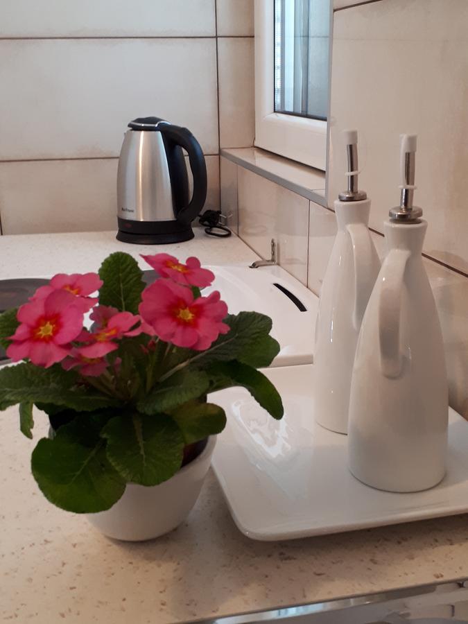 Momentera Apartments Kotor Bagian luar foto